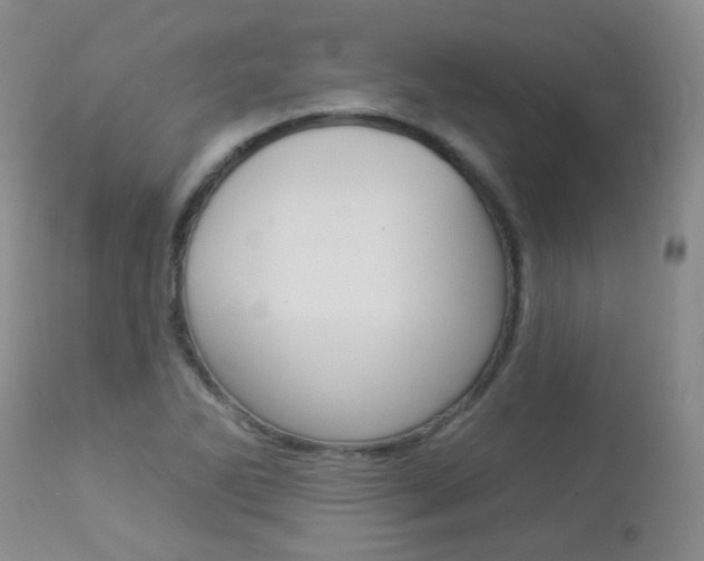 X0000113961270200909251018