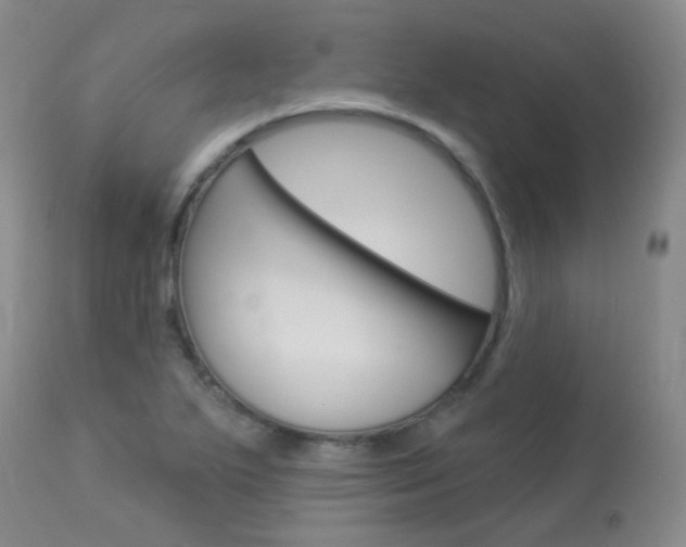 X0000113961271200909251018