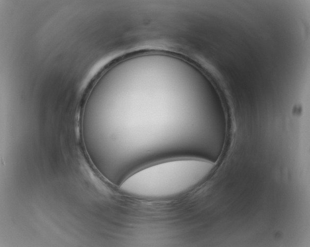 X0000113961272200909251018