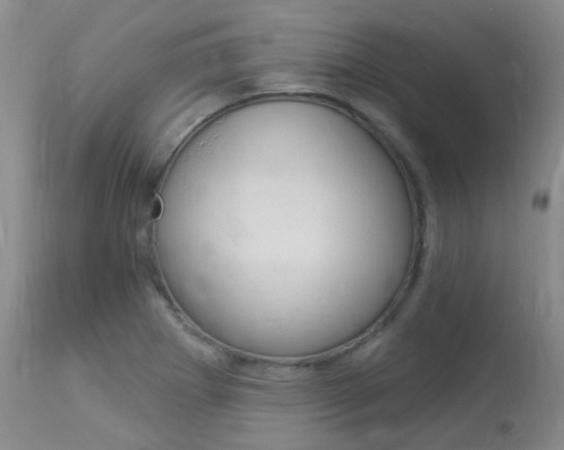 X0000113961273200909251018