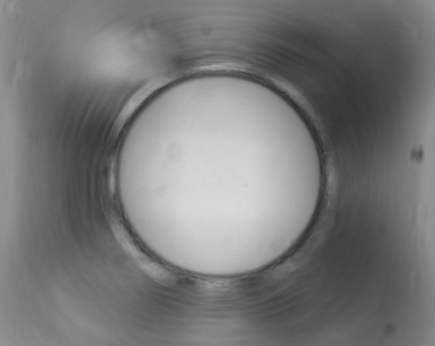 X0000113961274200909251018