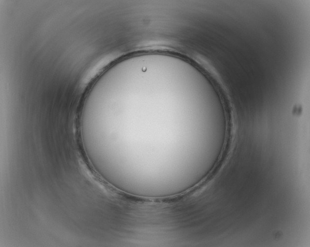 X0000113961277200909251018