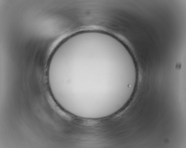 X0000113961278200909251018