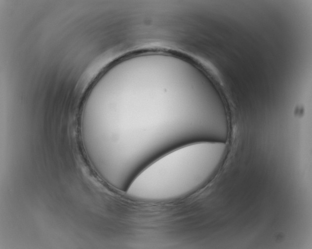 X0000113961279200909251018