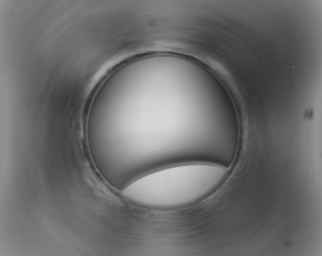 X0000113961280200909251018
