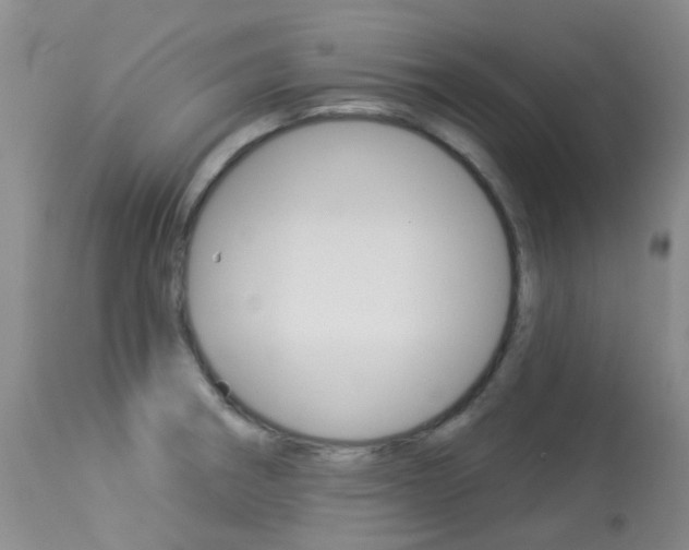 X0000113961282200909251018