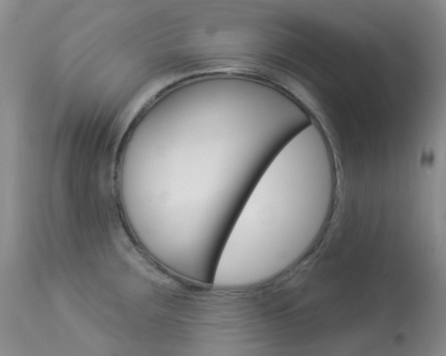 X0000113961283200909251018