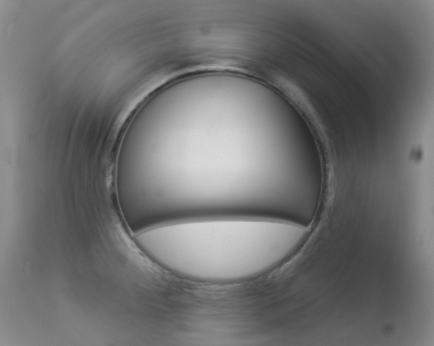 X0000113961284200909251018