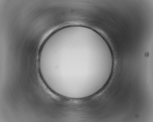 X0000113961286200909251018