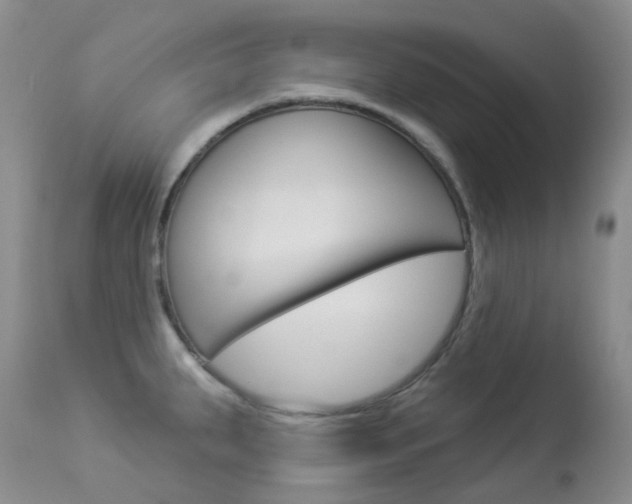 X0000113961287200909251017