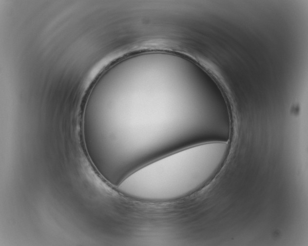 X0000113961288200909251017