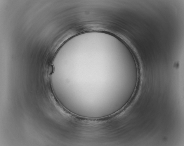 X0000113961289200909251017