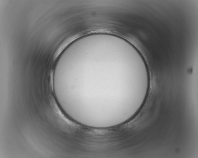 X0000113961290200909251017