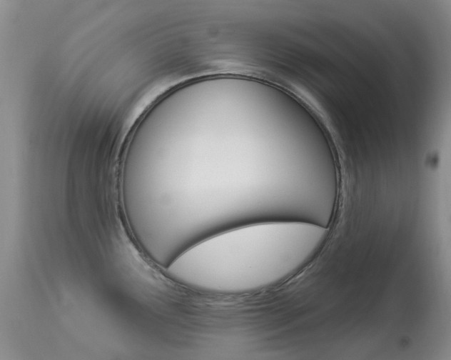X0000113961291200909251017
