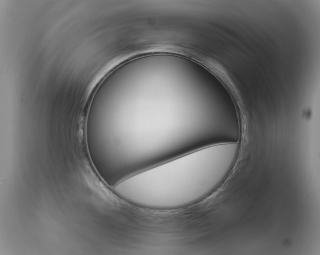 X0000113961292200909251017
