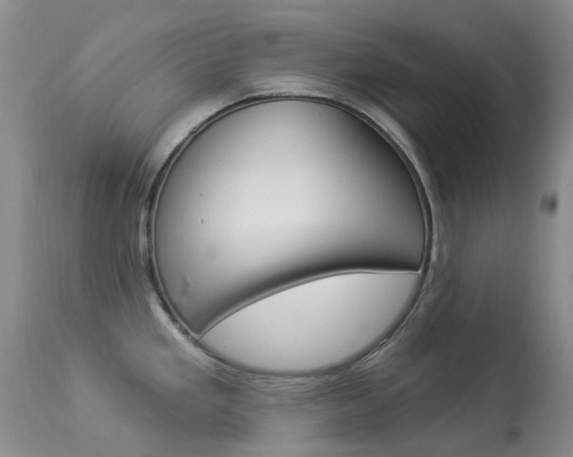 X0000113961293200909251017