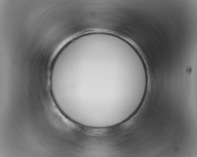 X0000113961294200909251017