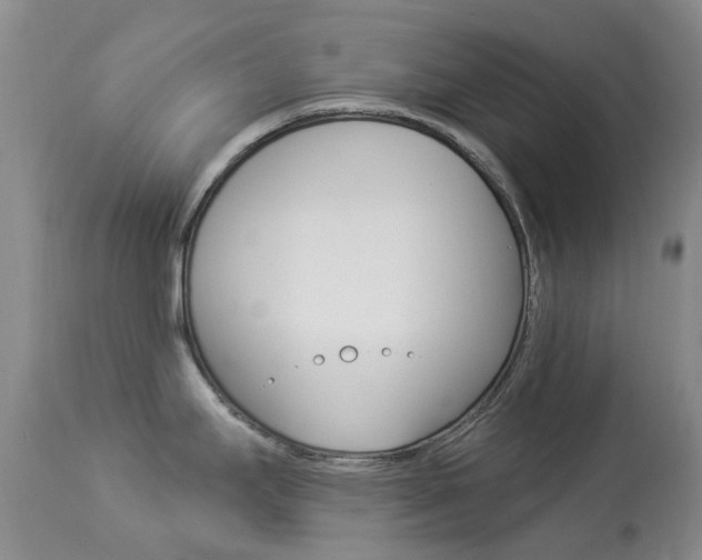X0000113961295200909251017
