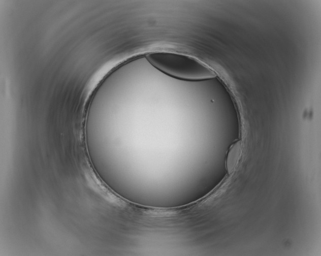 X0000113961296200909251017
