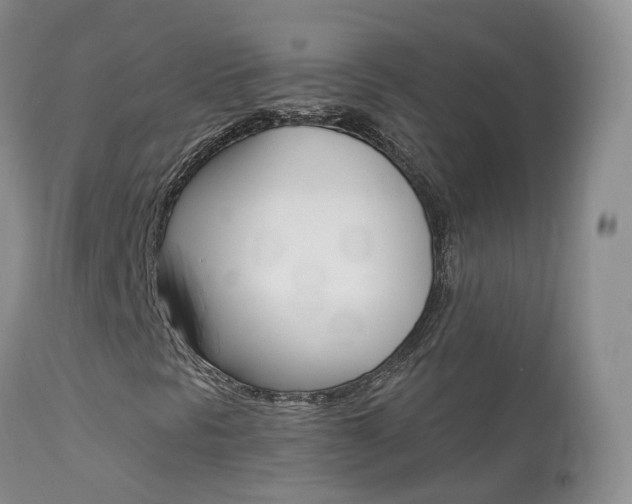 X0000113961297200909251017