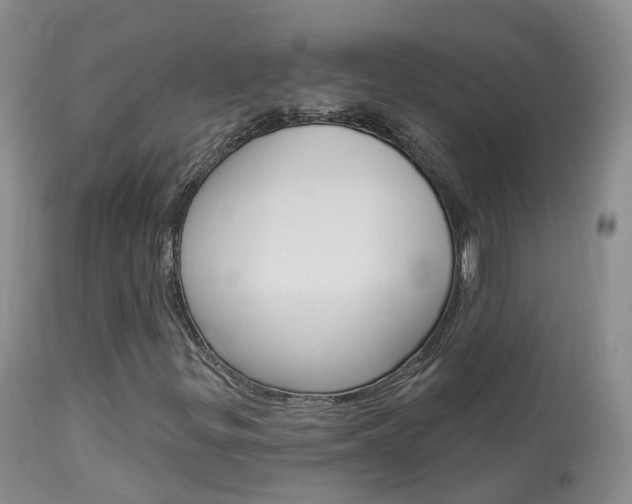 X0000113961299200909251017
