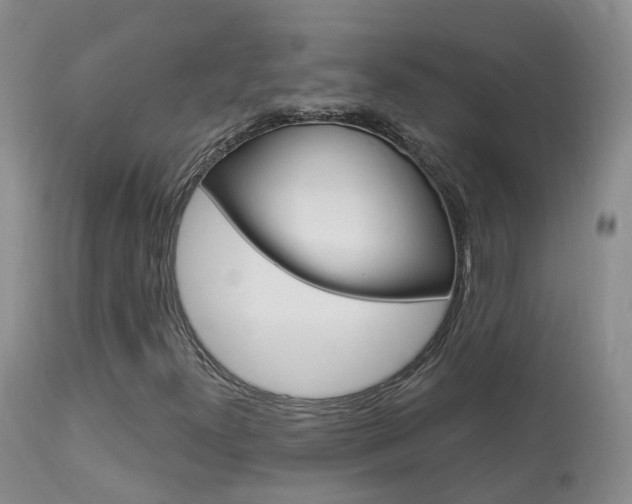 X0000113961300200909251017