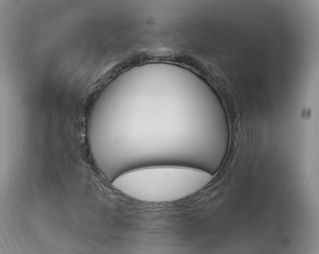 X0000113961301200909251017