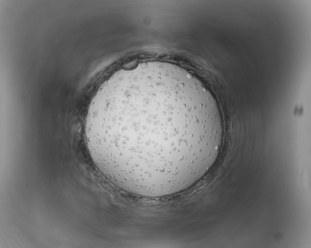 X0000113961302200909251017