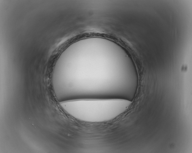 X0000113961303200909251017