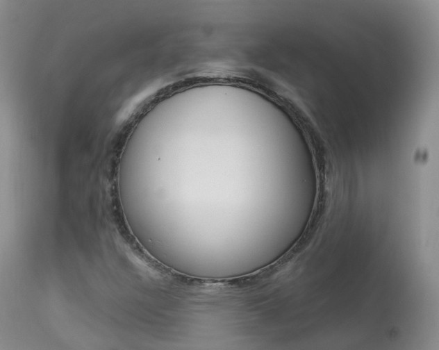 X0000113961304200909251017