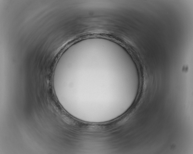 X0000113961305200909251017