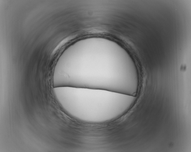X0000113961306200909251017