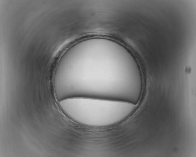 X0000113961307200909251017