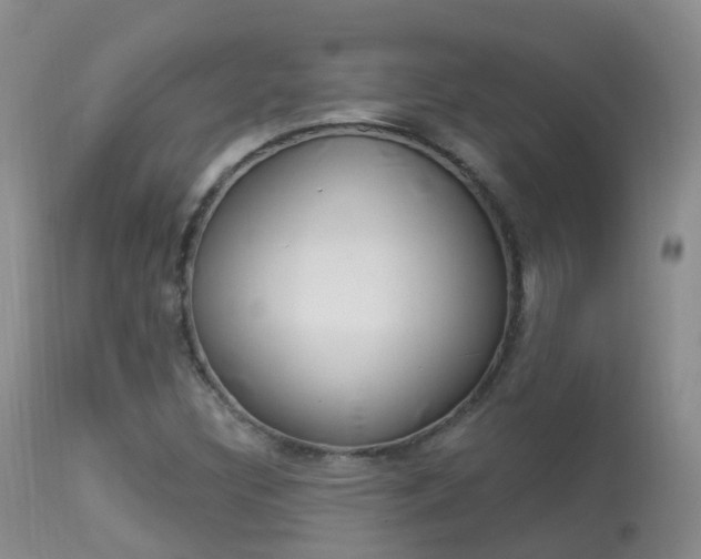 X0000113961308200909251017