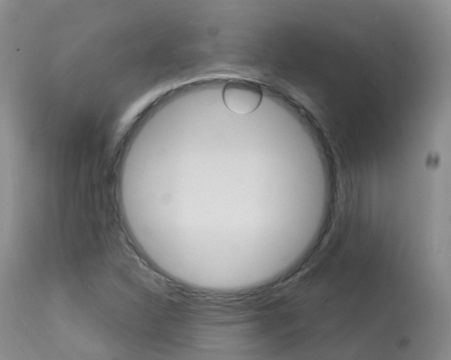 X0000113961310200909251017
