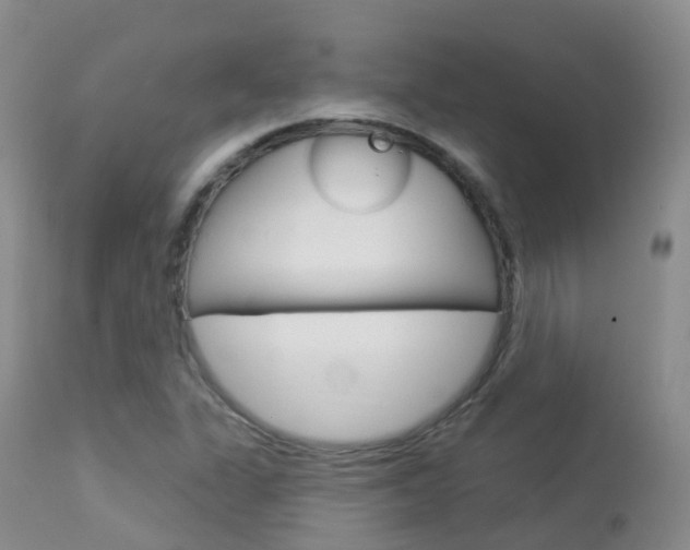 X0000113961311200909251017