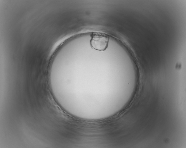X0000113961312200909251017