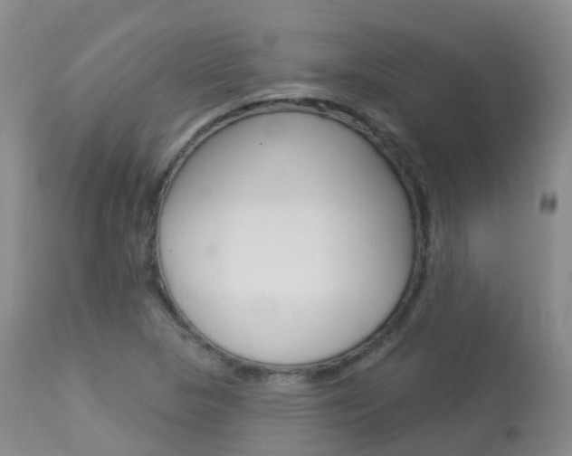 X0000113961313200909251017