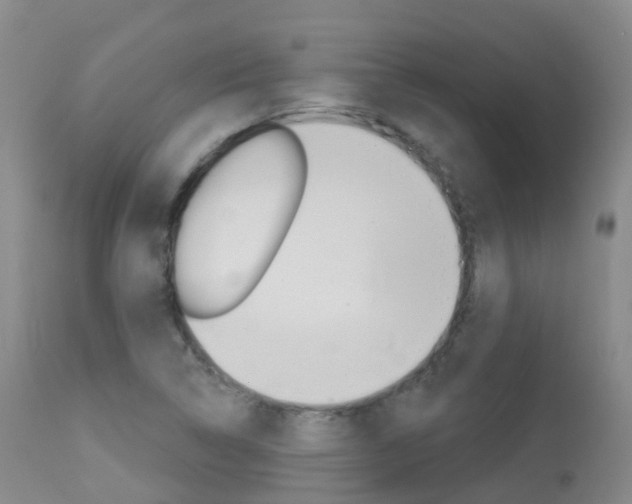 X0000113961314200909251017