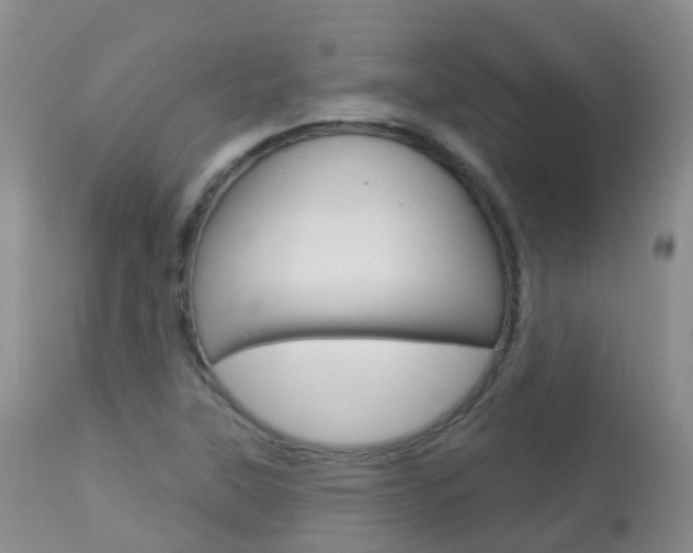 X0000113961315200909251017