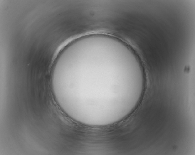X0000113961316200909251017