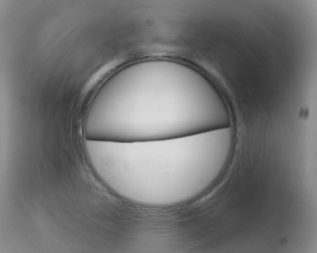 X0000113961317200909251017
