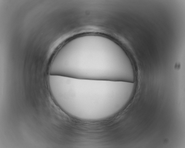 X0000113961318200909251017