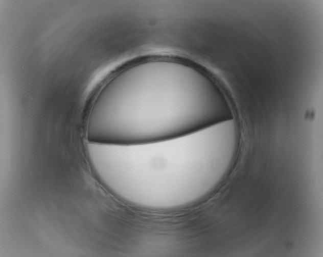X0000113961319200909251017