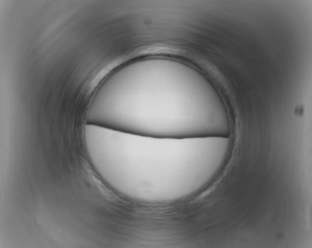 X0000113961321200909251017
