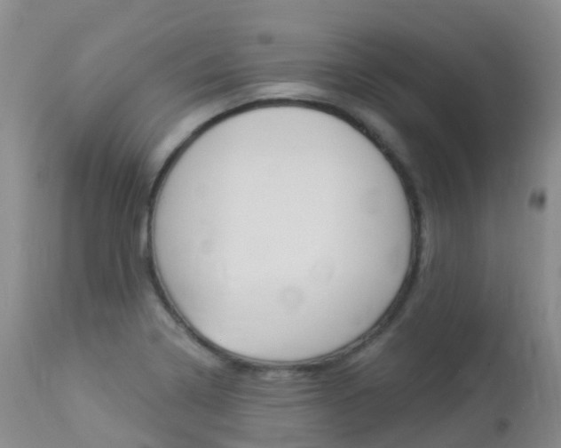 X0000113961322200909251017