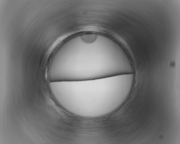 X0000113961323200909251017