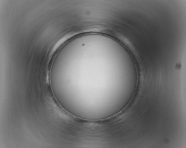 X0000113961324200909251017