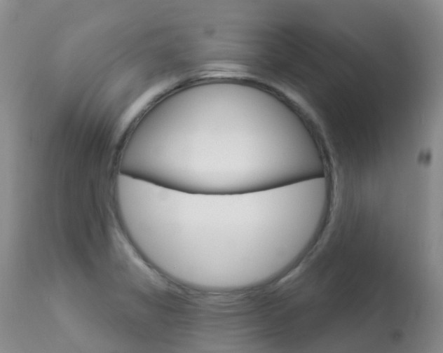 X0000113961325200909251017