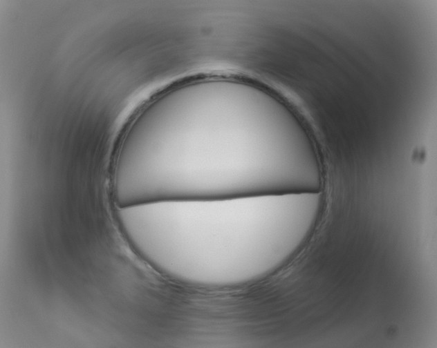 X0000113961327200909251017